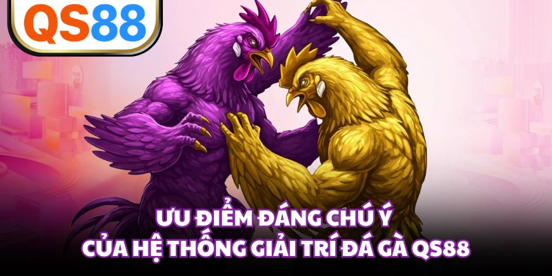 Ưu điểm đáng chú ý của hệ thống giải trí đá gà QS88 